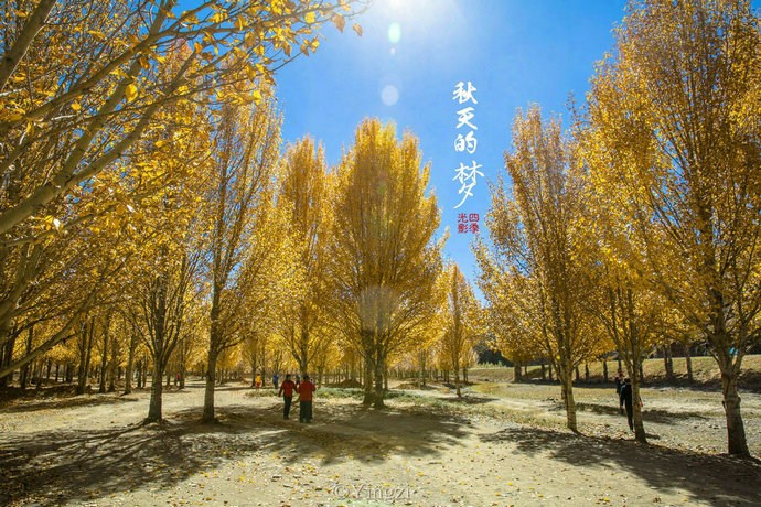 【稻城.青杨林】秋！<wbr>我想和你聊一聊<wbr>23P