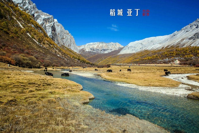【稻城亚丁】幸福感爆棚<wbr>在洛绒牛场发呆的时光<wbr>46P 【稻城亚丁】幸福感爆棚<wbr>在洛绒牛场发呆的时光<wbr>46P
