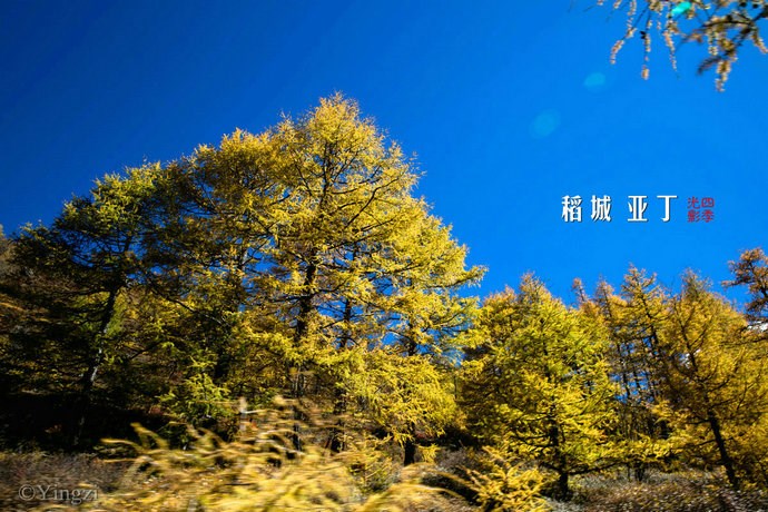 【稻城亚丁】幸福感爆棚<wbr>在洛绒牛场发呆的时光<wbr>46P 【稻城亚丁】幸福感爆棚<wbr>在洛绒牛场发呆的时光<wbr>46P