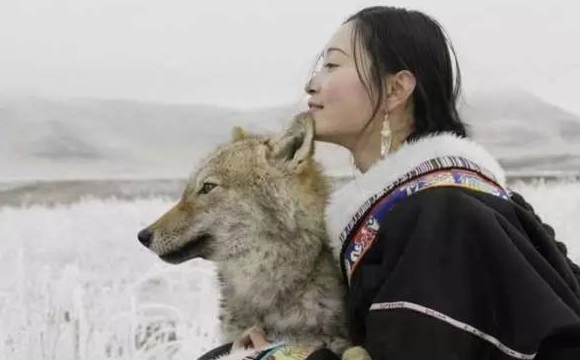 美女与狼