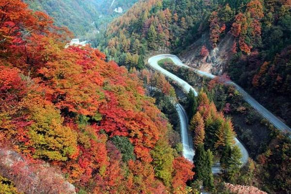 川藏线 光雾山