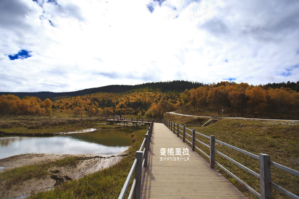 川藏线
