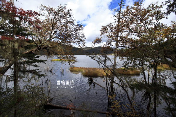 川藏线