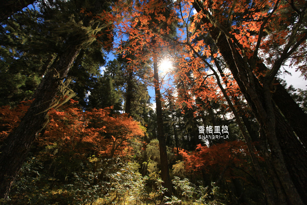 川藏线