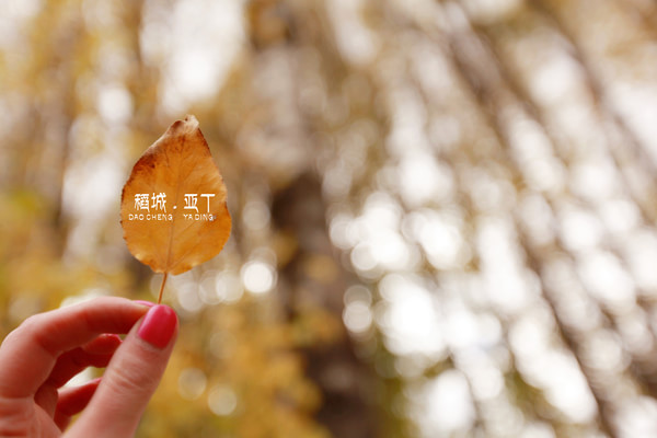川藏线