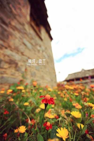 川藏线