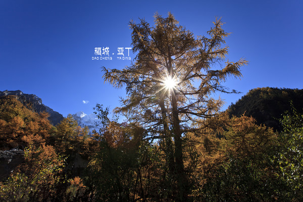 川藏线