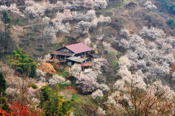 川藏线 绵阳平通梅林