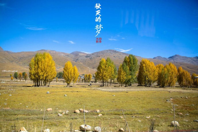 【稻城.青杨林】秋！<wbr>我想和你聊一聊<wbr>23P