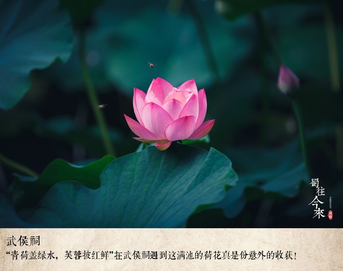 川藏线