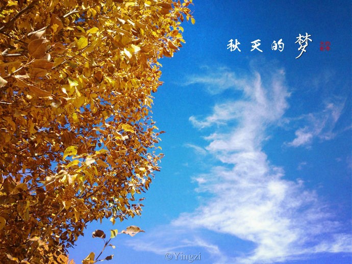 【稻城.青杨林】秋！<wbr>我想和你聊一聊<wbr>23P