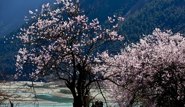 美景