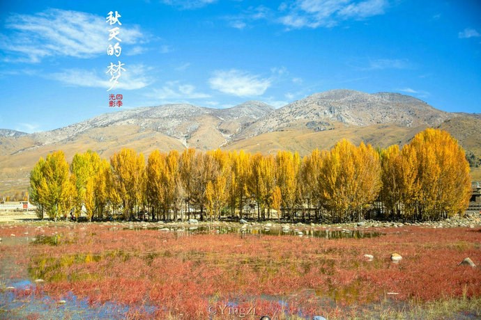 【稻城.青杨林】秋！<wbr>我想和你聊一聊<wbr>23P