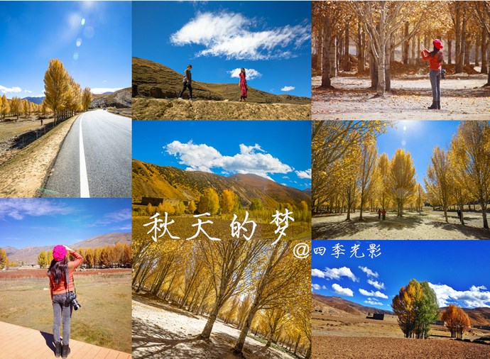 【稻城.青杨林】秋！<wbr>我想和你聊一聊<wbr>23P
