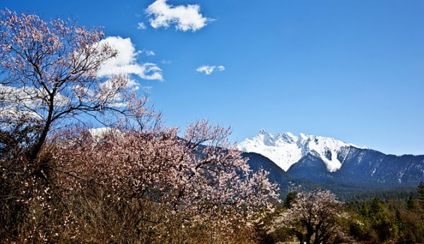 美景