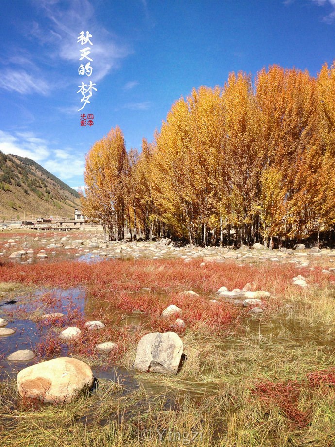 【稻城.青杨林】秋！<wbr>我想和你聊一聊<wbr>23P
