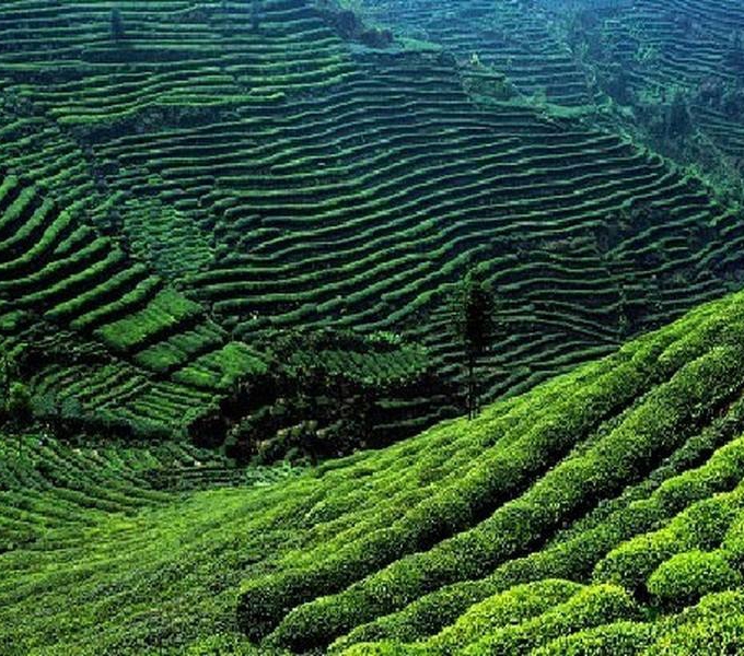 蒙顶山