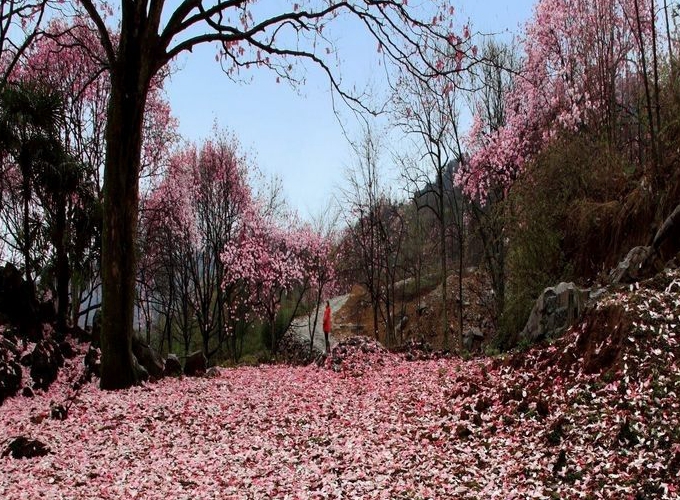 北川药王谷