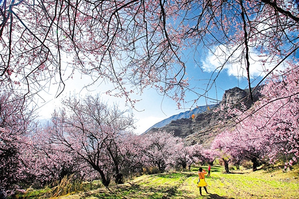 风景如画