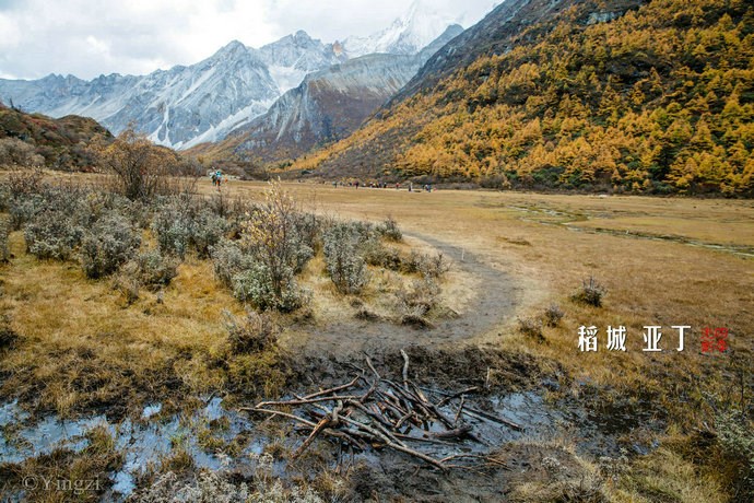 【稻城亚丁】幸福感爆棚<wbr>在洛绒牛场发呆的时光<wbr>46P 【稻城亚丁】幸福感爆棚<wbr>在洛绒牛场发呆的时光<wbr>46P