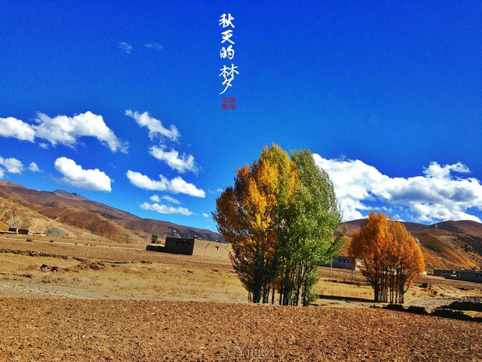 【稻城.青杨林】秋！<wbr>我想和你聊一聊<wbr>23P